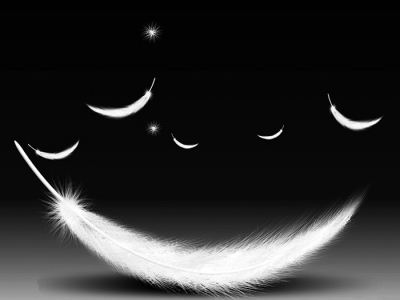 FCB1406  羽絨防水劑