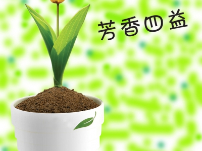  FCI001織物芳香整理劑