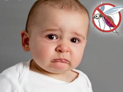 Texnology?FCK400防蚊整理劑