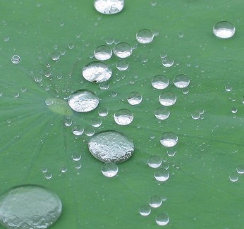 圖片關(guān)鍵詞