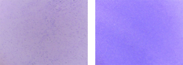 染料電子溶解機