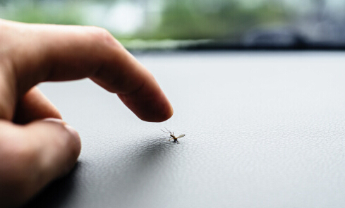 防蚊紡織品讓你擺脫驅(qū)蚊氣霧劑和蚊香