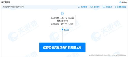 藍(lán)色光標(biāo)布局西南，成都新設(shè)數(shù)據(jù)科技公司加碼大數(shù)據(jù)服務(wù)